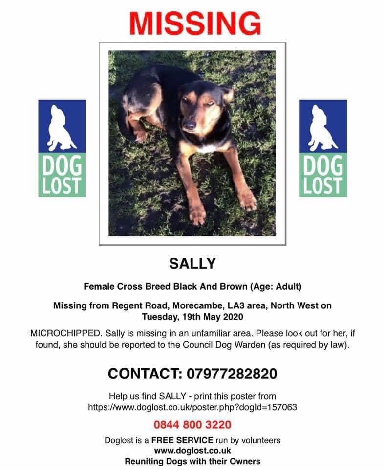 rosiedoc666's tweet photo. #FindSally missing in unfamiliar area, #morcambe could of moved on WHO LIVES IN THESE AREAS? Pls 👀 FOR SALLY
#NetherKellet #Overkellet #Arnside #Silverdale #Warton #HestBank
#Levens #Sizergh #Brigsteer #Underbarrow #Crook #Hornby #Scorton
https://t.co/cUSrWZKypm… https://t.co/Yr57jgiqeC