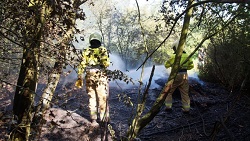 Beginnende bosbrand bij afgraving in Drunen snel geblust..