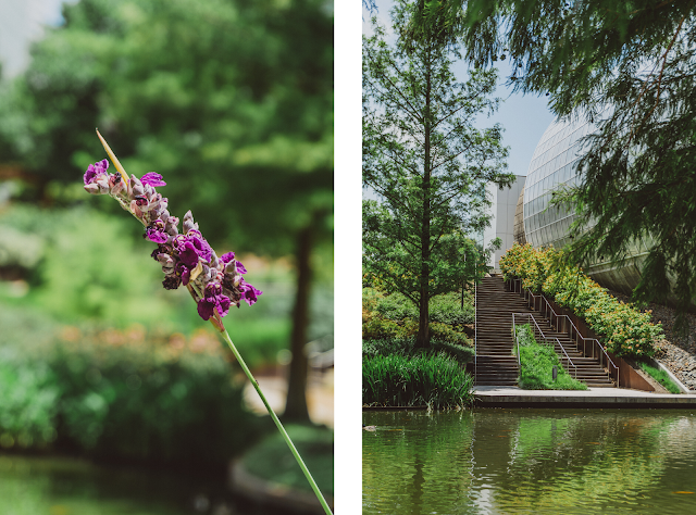 Kendall Allen Blog: Photo Diary: 06.20.2020 kendallallenblog.com/2020/06/photo-…