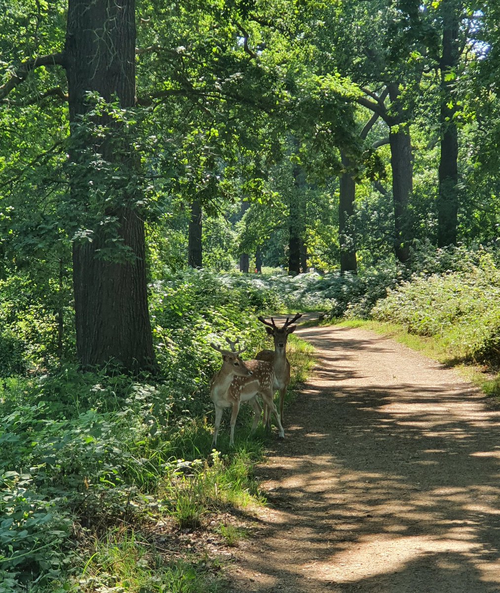 It has been a very lovely day. 