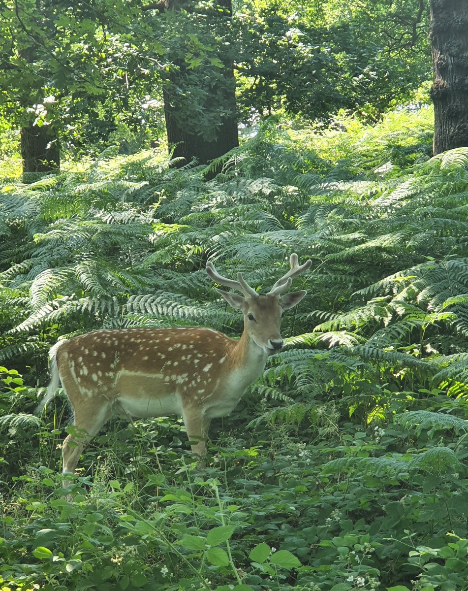 It has been a very lovely day. 