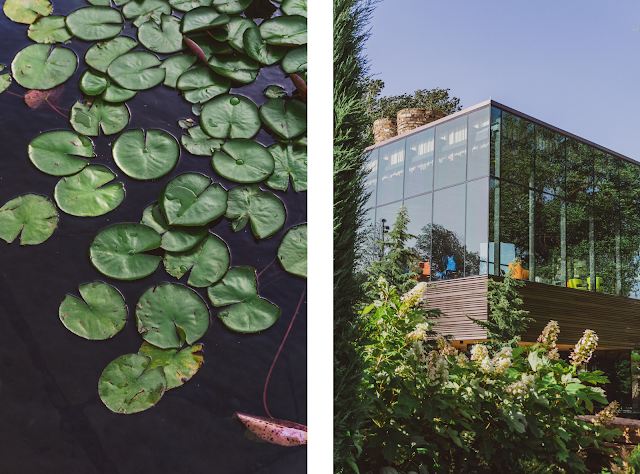 Kendall Allen Blog: Summer at The Gathering Place kendallallenblog.com/2020/06/summer…