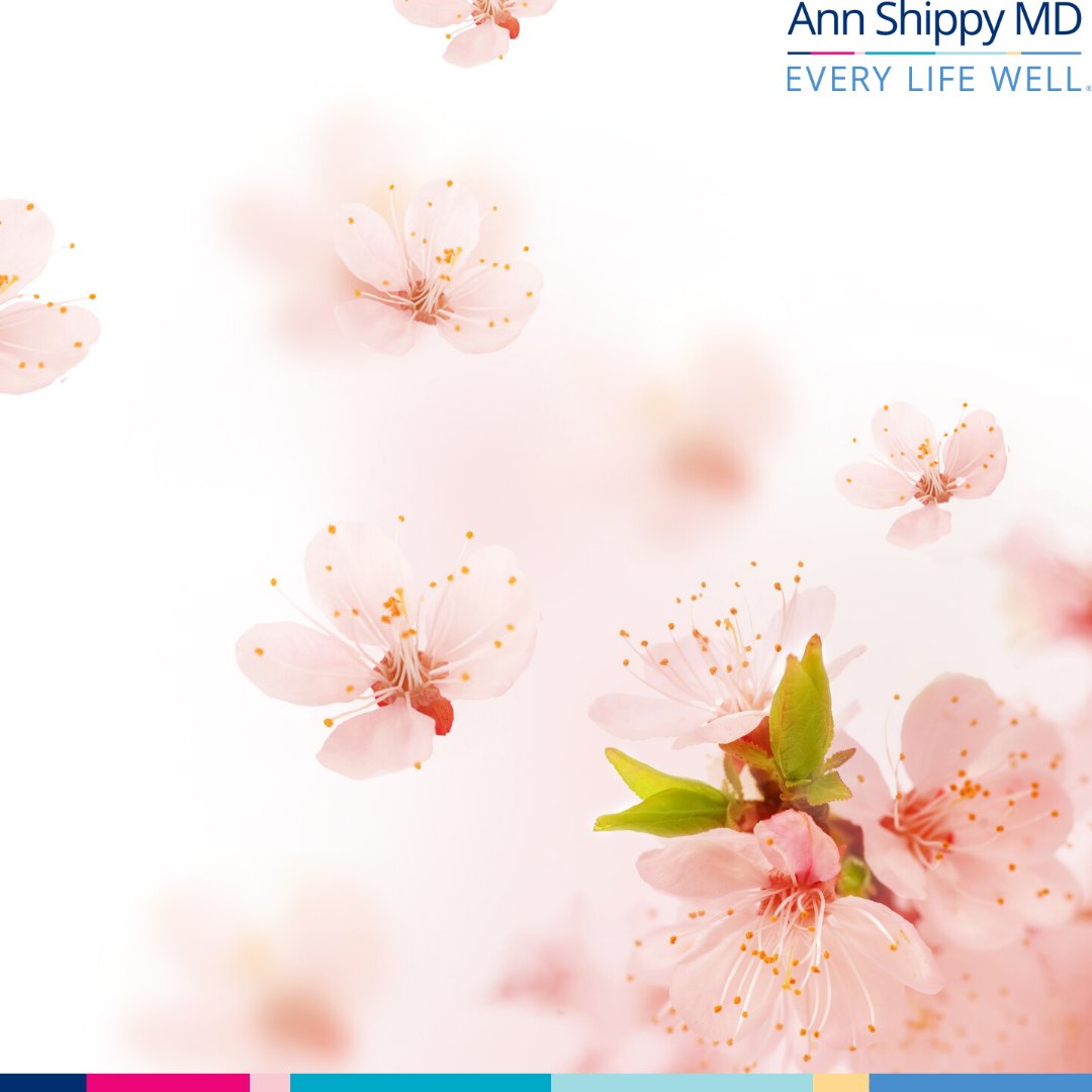 Ann Shippy, MD tweet media