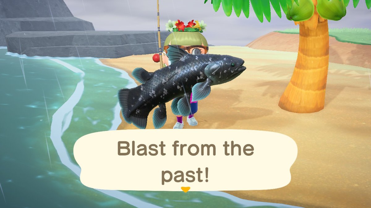 holfish's tweet image. Just some of the big fishes #AnimalCrossing #ACNH #NintendoSwitch