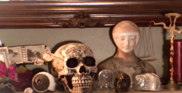 Patti Negri tweet media