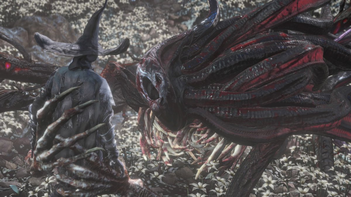 Gregory Scott tweet media