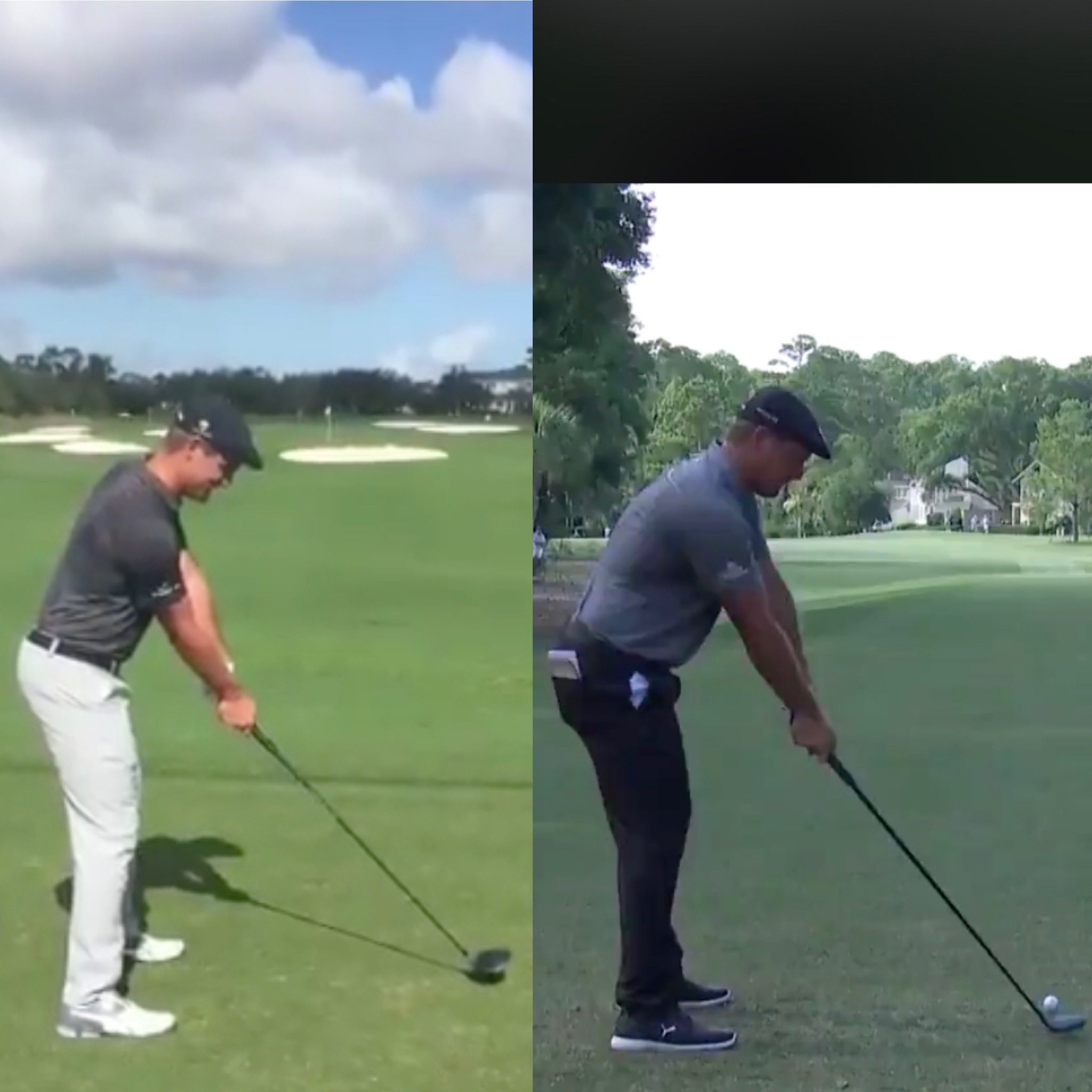 Robbie Greenfield on Twitter: "Giving a whole new meaning to the phrase ' different beast' 🤯 https://t.co/2vy9UBwTOT" / Twitter