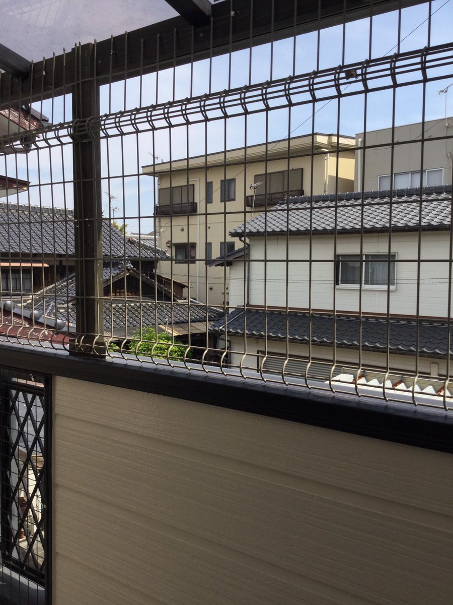 猫脱走防止 Twitter પર હ શટ ગ