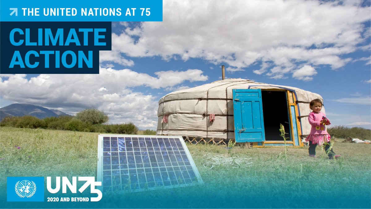 United Nations tweet media