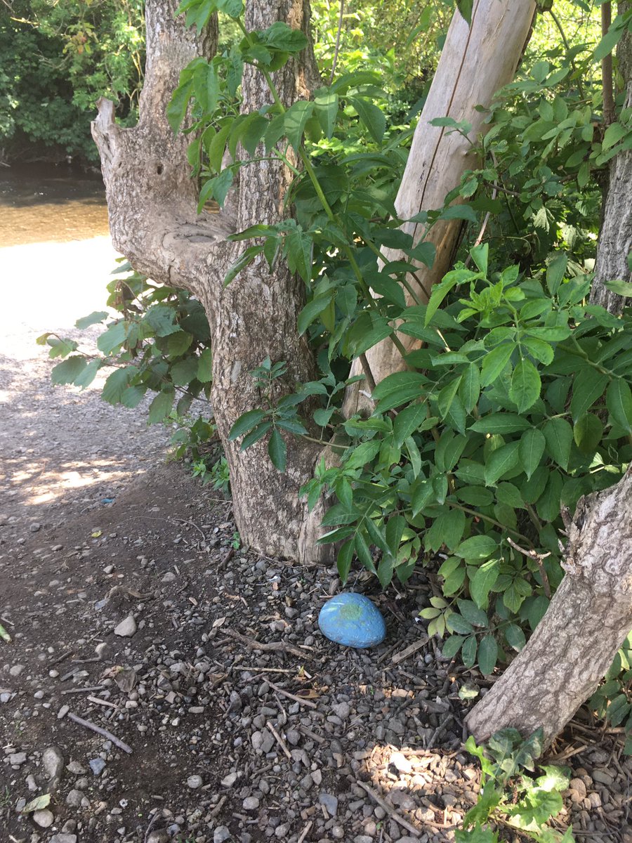 OConnellDee76's tweet photo. @stbrigids_gns This rock was found in Lanesborough Park by Hannah in Junior Infants Room 2. Hannah placed it by the Tolka River #StBrigidsRocks https://t.co/RulOKHhmjc