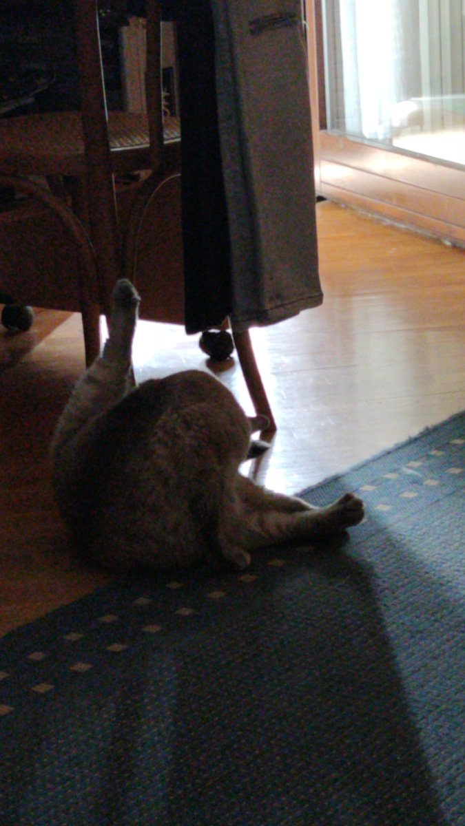 MattDefamed's tweet image. 