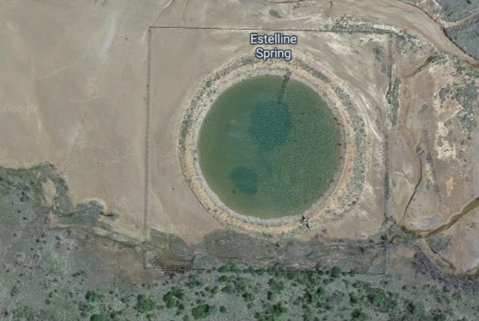 The Estelline Salt Springs fills a pool in the Texas Panhandle. It's a perfect circle, shimmering green, ringed by a white salt crust. 2/7  https://goo.gl/maps/vYEnFSHaVsuuZK1L6