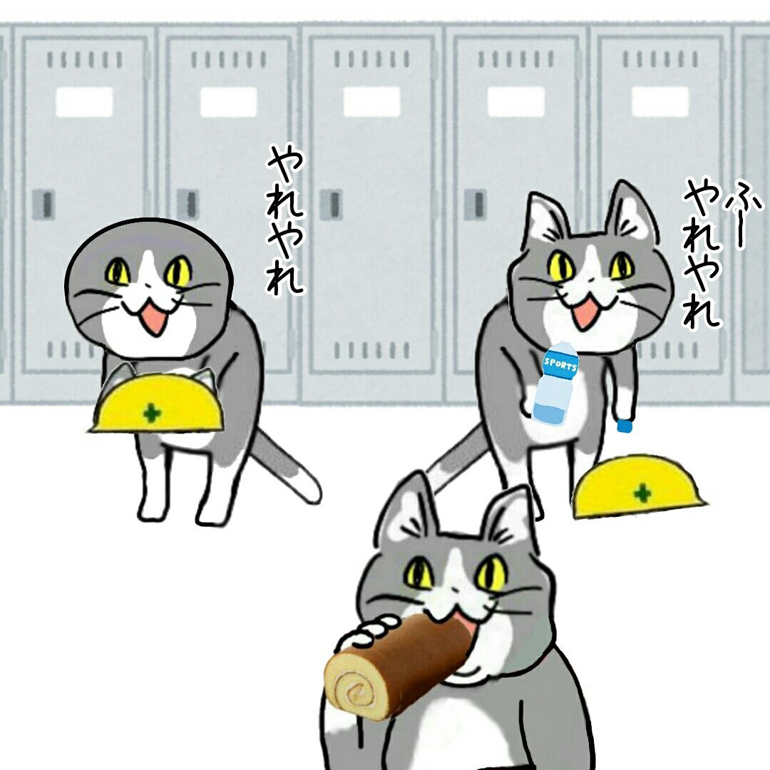 no humans cat locker hardhat helmet locker room :3  illustration images