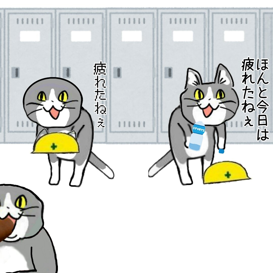 no humans cat locker hardhat helmet locker room :3  illustration images