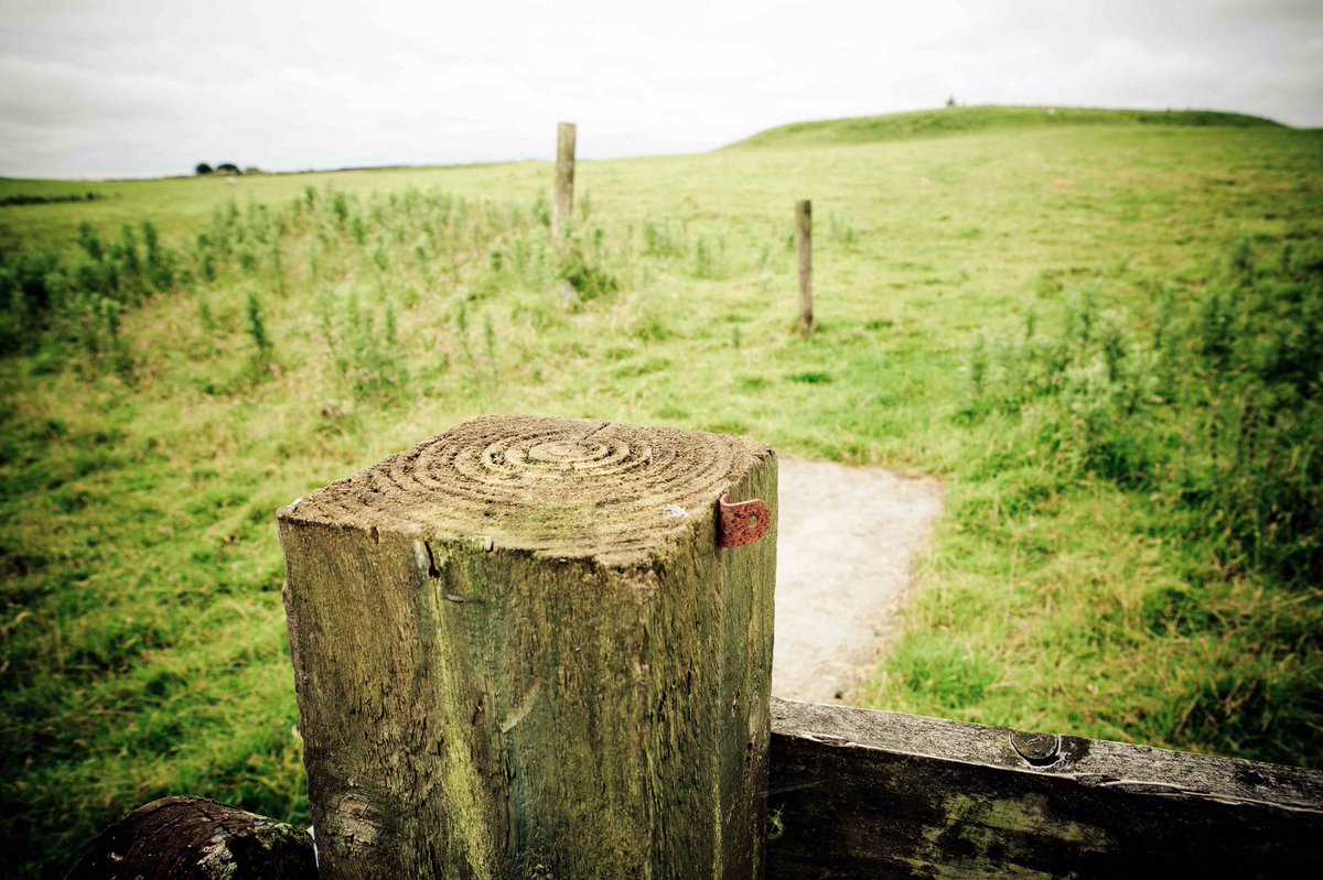 On Monday 29th I will be following the route Queen Maeve’s army took on the Cattle Raid of Cooley - the Tain. Starting at her fort at Rathcroghan, near Tulsk Roscommon I’ll be telling the story as I walk in her footsteps. Can you help me promote this month long event #CattleRaid