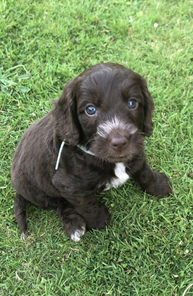 How could they not ♥️♥️ me??