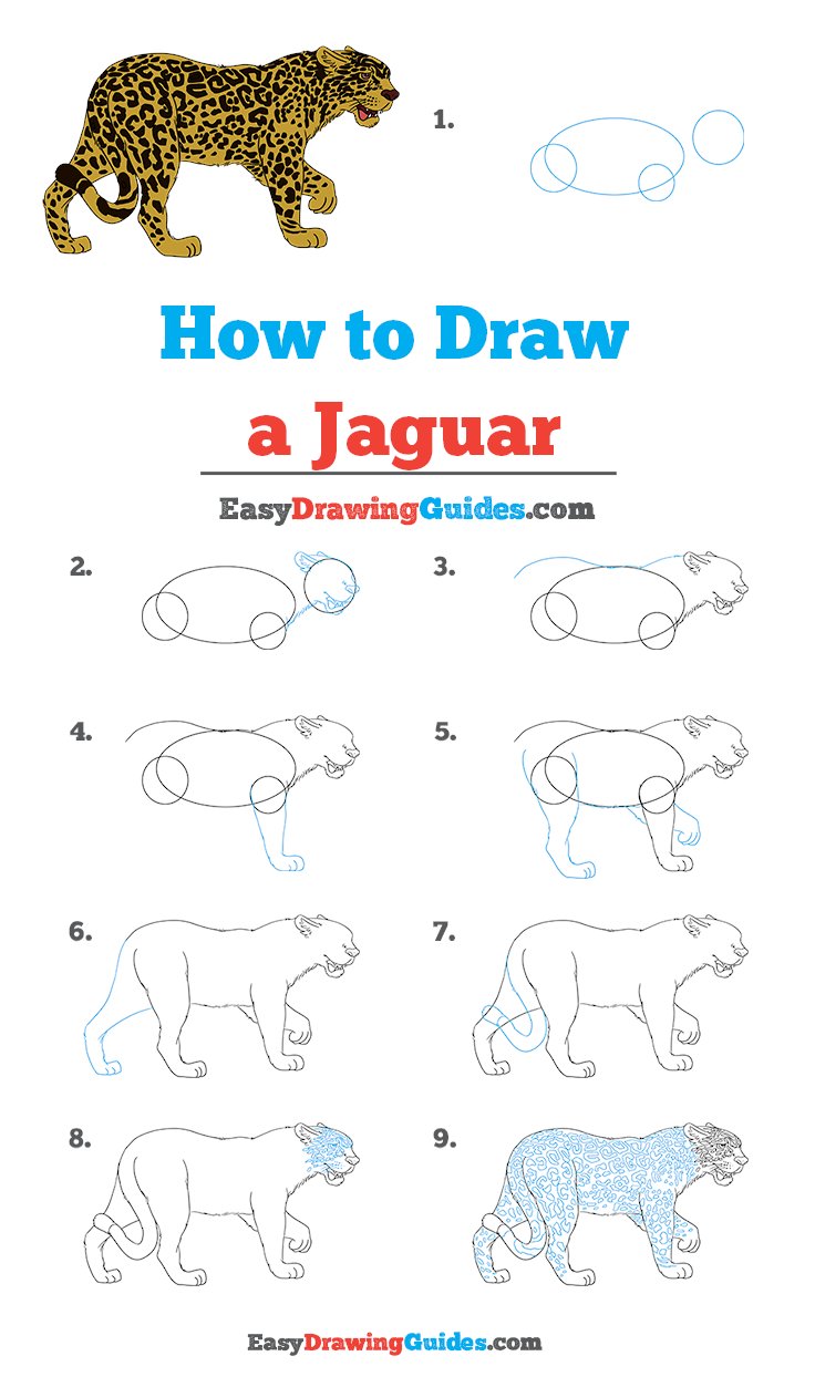 jaguar drawing for kids