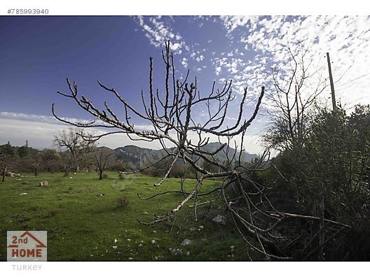 KAÇIRILMAYACAK FIRSAT BEYCİK 14.650 M2
İlan No: 785993940
sahibinden.com/ilan/emlak-ars…