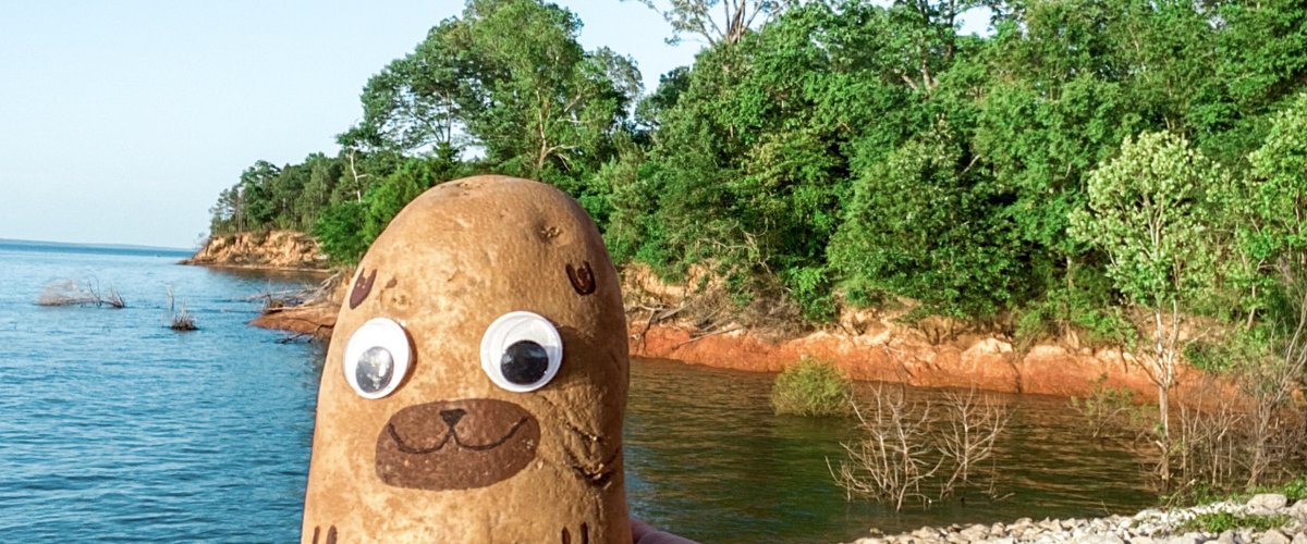 pet_potato's tweet photo. @Carl173869 @Donut_Woahnut Do you like my pet Pugtato? https://t.co/RTXa5O033V