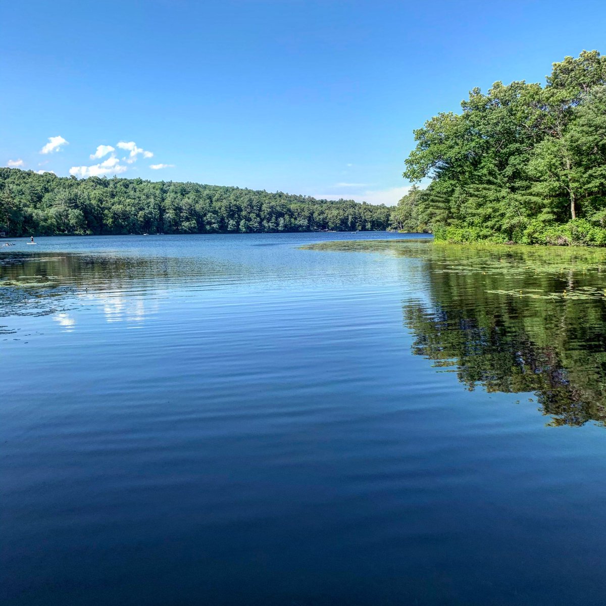 Gorgeous  In Boxford! 🎣 🚣‍♀️<a href="/PeteNBCBoston/">Pete Bouchard</a> <a href="/ericfisher/">Eric Fisher</a> <a href="/KevinBoston25/">Kevin Lemanowicz</a> <a href="/jreineron7/">Jeremy Reiner</a> <a href="/HarveyWCVB/">Harvey Leonard</a> <a href="/MetMikeWCVB/">Mike Wankum</a> @JackieLayerOn7 <a href="/joshwurster_/">Josh Wurster</a> <a href="/JaisolWX/">Jaisol Martinez</a> <a href="/kellyannwx/">Kelly Ann Cicalese</a> <a href="/VickiGrafWX/">Vicki Graf</a> @DeniseNBCBoston <a href="/growingwisdom/">Dave Epstein</a> @ChrisGNBCBoston @TimNBCBoston <a href="/Pamelanbcboston/">Pamela Gardner NBC10 Boston</a> <a href="/MichaelPageWx/">Michael Page</a> <a href="/DavidBagleyWX/">David J Bagley-Meteorologist ⚡️</a>