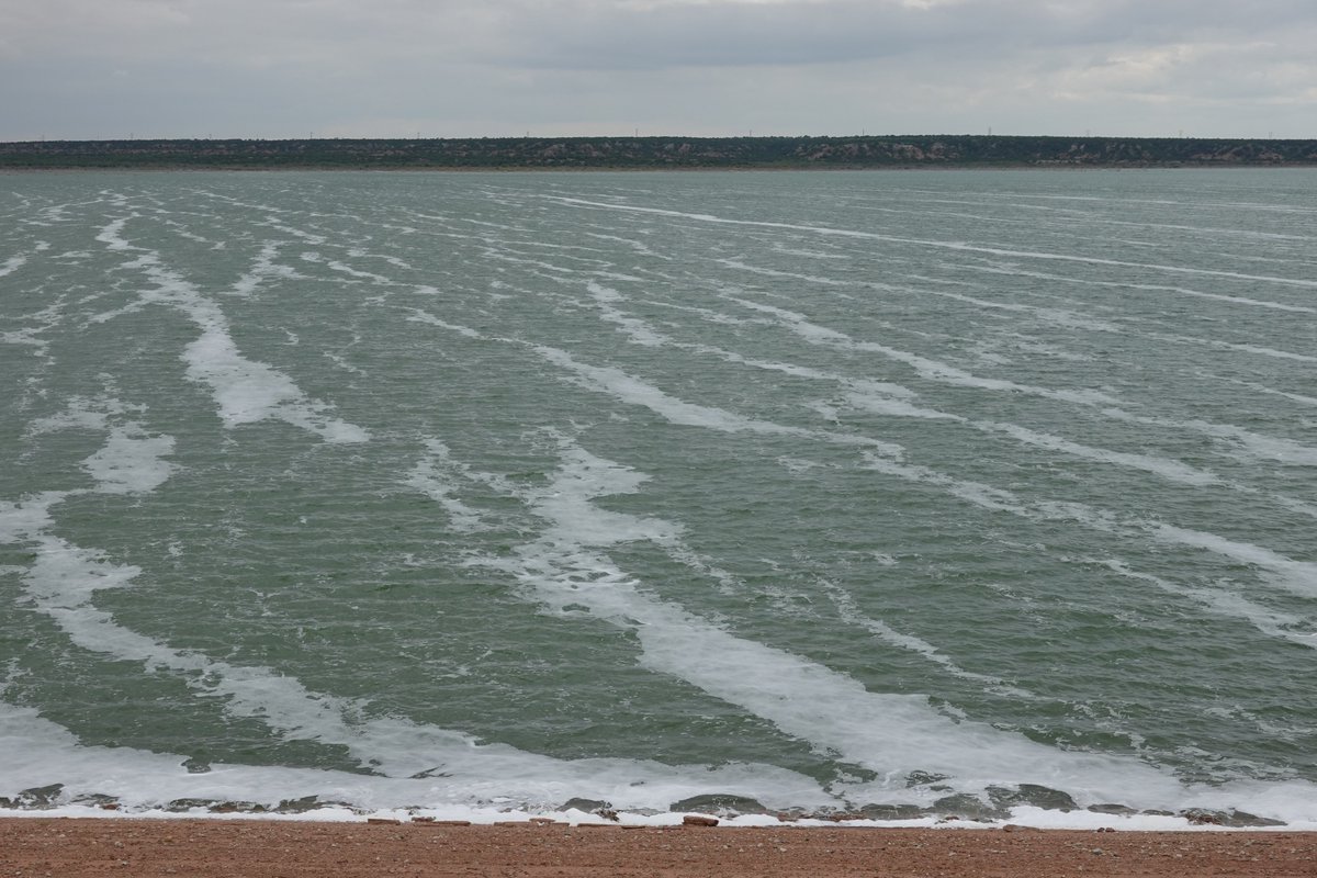 What ultimately happened to the Panhandle crabs was pretty sad. I never got to see the Estelline spring, either (at least not, um, in a work capacity). However, I did check out this other weird reservoir in the area called the Truscott Brine Lake. Look at all that salt! 5/7