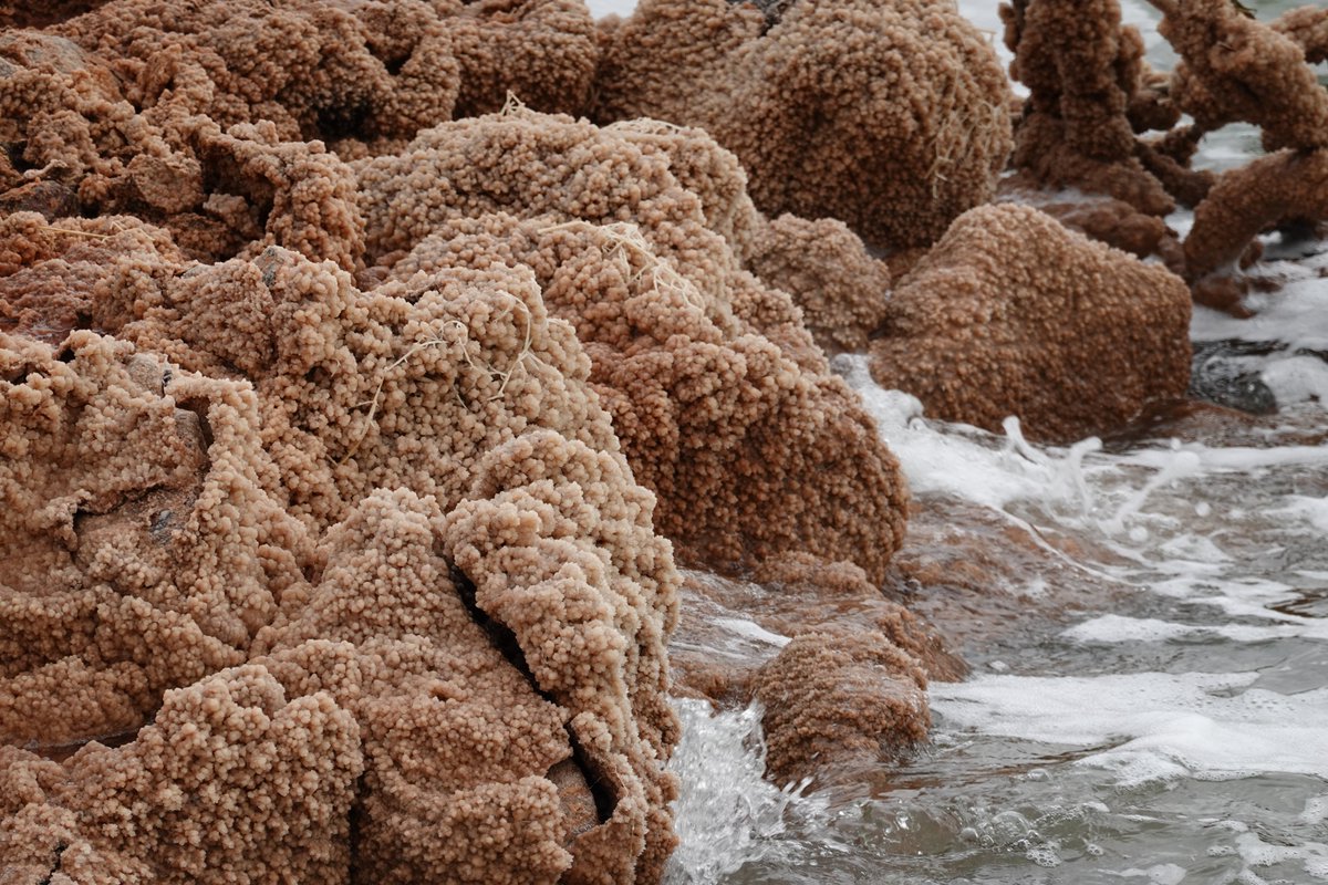 What ultimately happened to the Panhandle crabs was pretty sad. I never got to see the Estelline spring, either (at least not, um, in a work capacity). However, I did check out this other weird reservoir in the area called the Truscott Brine Lake. Look at all that salt! 5/7