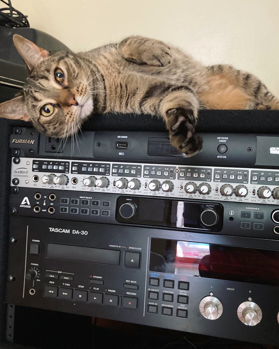 Dolce and I sat hello and happy Thursday! We are back with our daily #catsonamps posts on <a href="/instagram/">Instagram</a> <a href="/facebook/">Facebook</a> <a href="/twitter/">Twitter</a> starting tomorrow. #adoptdontshop #breaktimeisover #cats #catlover #mer #merhq #dolce #catsonamps photo courtesy of Mrs V / <a href="/mmvitali/">American Record Company |</a> <a href="/TASCAMpro/">TASCAM USA</a> <a href="/apogeedigital/">Apogee Electronics</a>