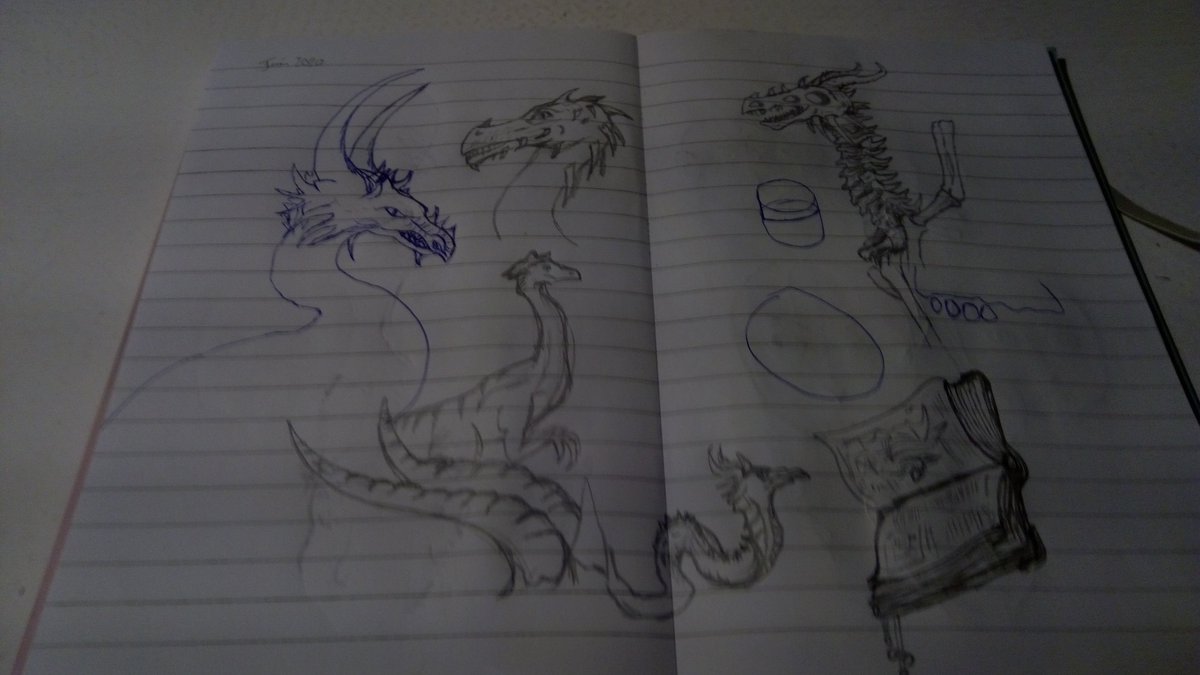 Alors, d'abord j'ai commencé par recopier des Dragons dans un artbook que j'ai. Chaque dessin me prenait mille ans parce que je faisais vraiment détail après détail, mais a la fin ça faisait pas trop dégueu donc ça m'a donné de l'espoir.