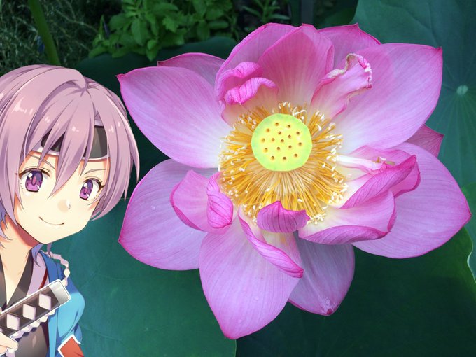 ハスのtwitterイラスト検索結果 古い順