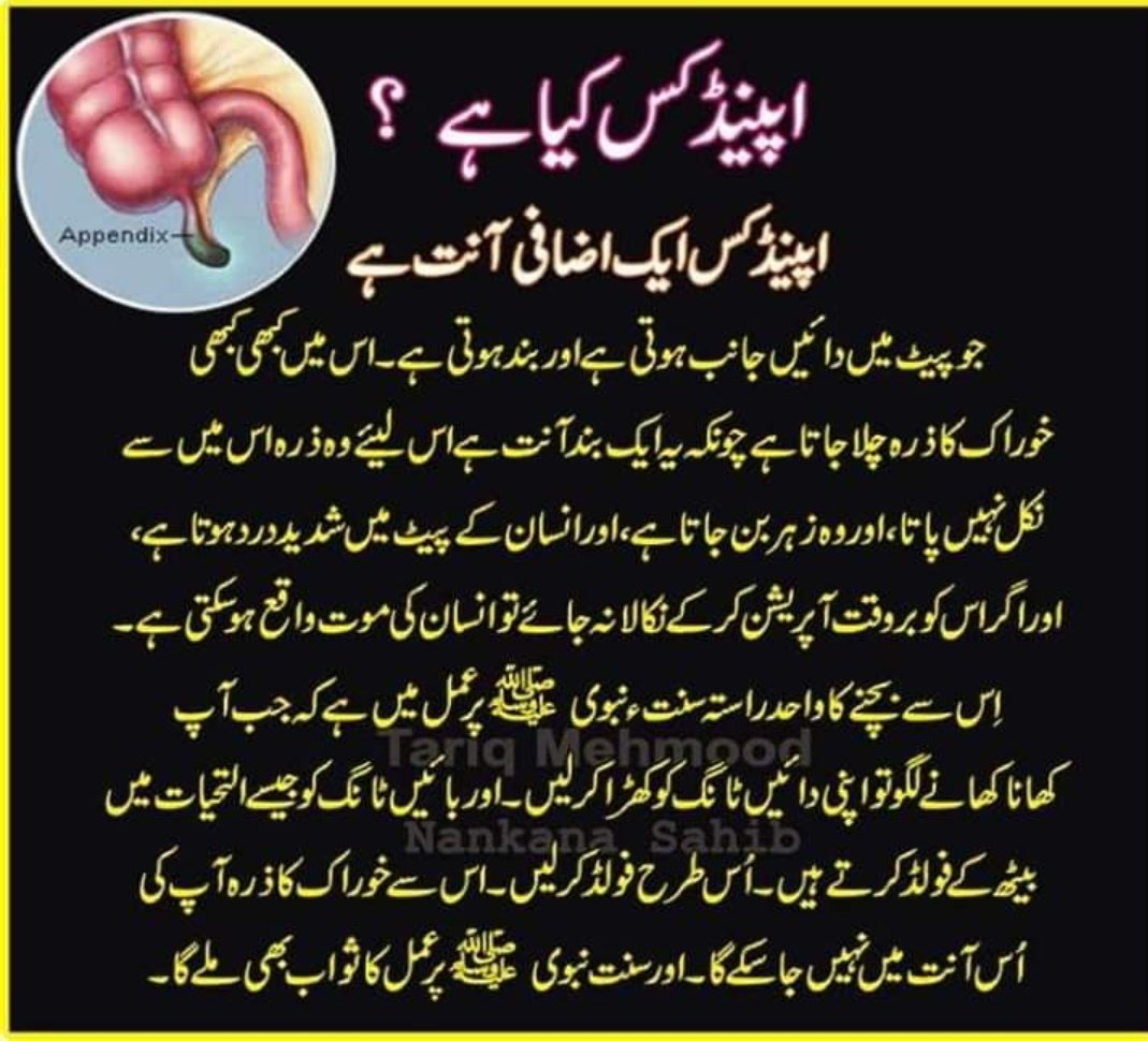 Pakistaniraja tweet media