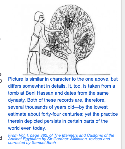 The animals the Egyptians chose weren't random. They all had one thing in common, they were useful to the people. Baboons had to be useful to survival. every animal they venerated had that in common. So how were they useful? It looks like they helped pick fruit for people.