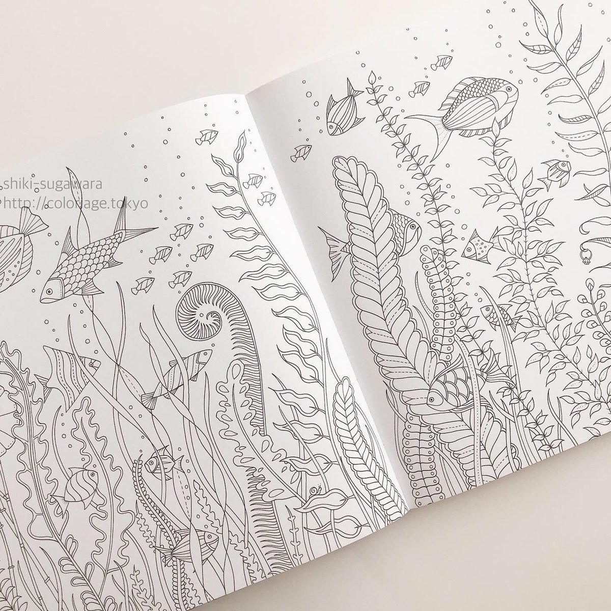 【50+】 大人 の 塗り絵 自律 神経 - 無料ぬりえページ Mokumokunja