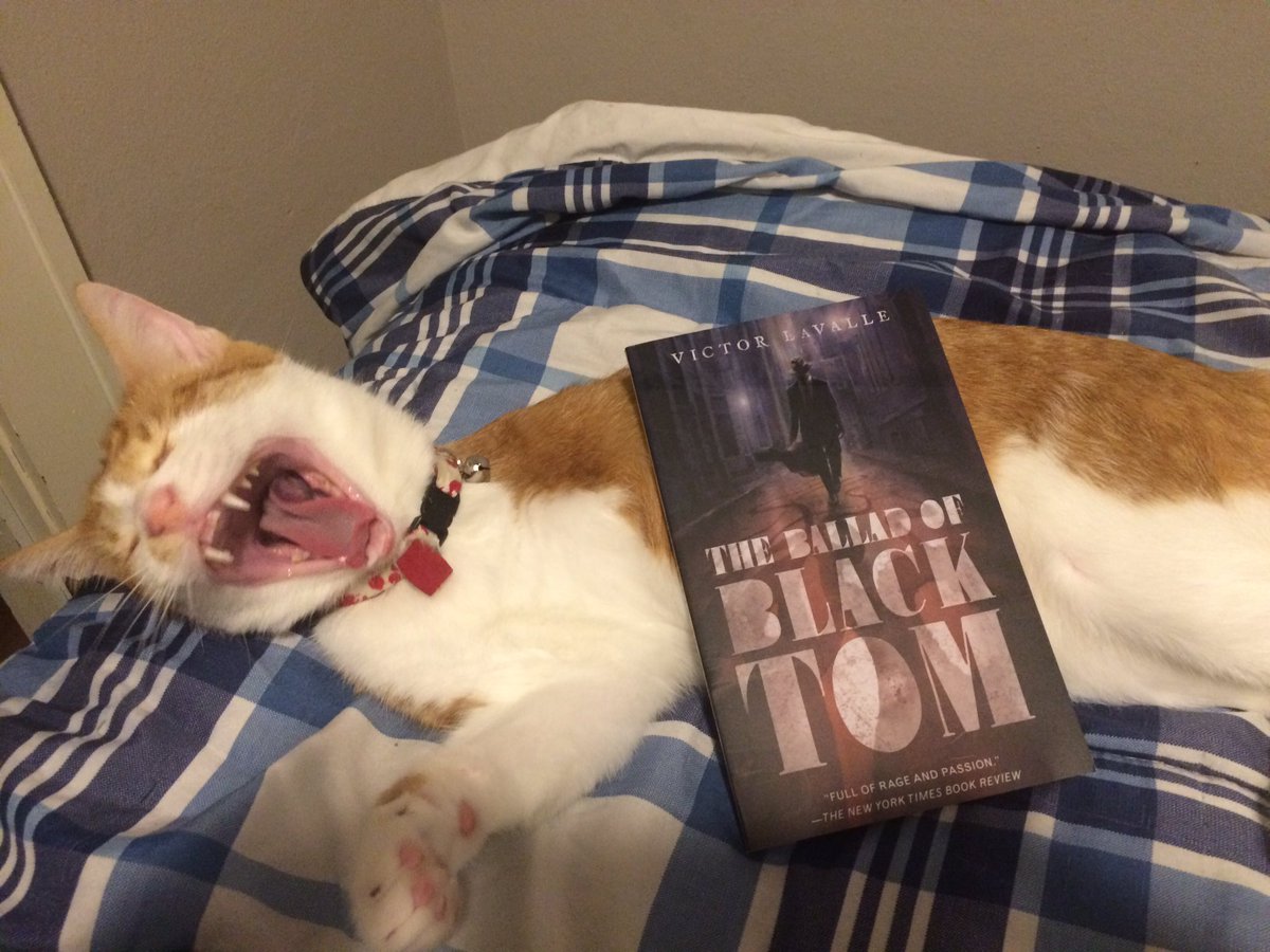 AmylouAhava's tweet photo. Julyβs book has arrived and #AshCat is really excited to read it. We still have a few more days of #TheCabinAtTheEndOfTheWorld so keep tweeting your comments, questions, thoughts, etc about the book. π π #KillerBookClub @InkblotTheExile @katiebeachy23 @24th_Doctor @beirnest https://t.co/9nbUXK86V7