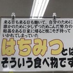 なんか切ない…はちみつのポップが刺さる!