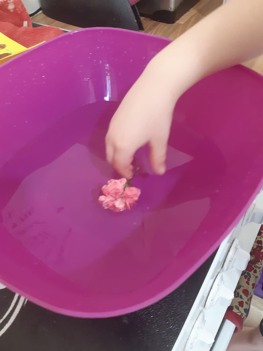 ToniBetty's tweet image. Eliza has been doing loads of school work with nanny this week (she joined our bubble) an then asked me could she go to school for her bday - so when I told her she is back to school Monday she was a super happy little girl!! #EnchantedForrest #Eliza @AnfieldRoadRec