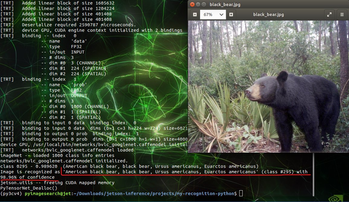 baijorge's tweet photo. #JetsonInference
#ImageRecognition
#Python script RECOGNIZING bears on whole images files.
@nvidia's #JetsonNano
#ArtificialIntelligence
#LearnToCode https://t.co/rS1BfpRXul