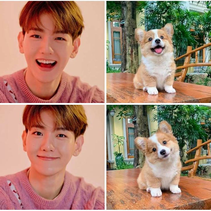 RoMaKai2's tweet photo. 충분히 가까이 😂😂❤️
So Cute💙🥺
#BAEKHYUHN #EXO #candy
@weareoneEXO @B_hundred_Hyun https://t.co/3ibqwU9BR2