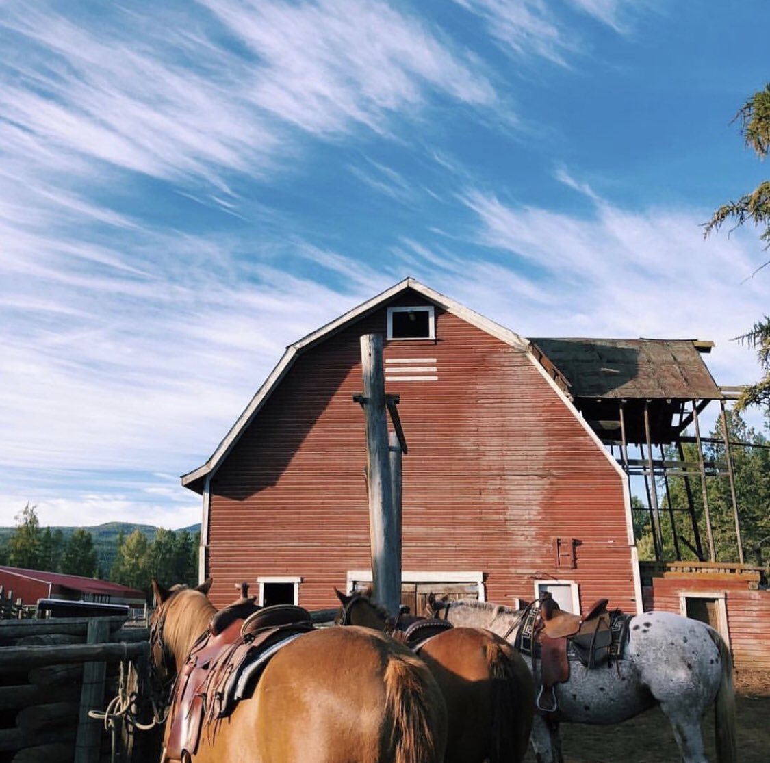 ThreeBarsRanch's tweet photo. The Ranch is opening next week and the boys are ready to take you out on the trails!
#ridehere #bctravel #duderanch #guestranch #explorebc https://t.co/UKEhFI4IA5