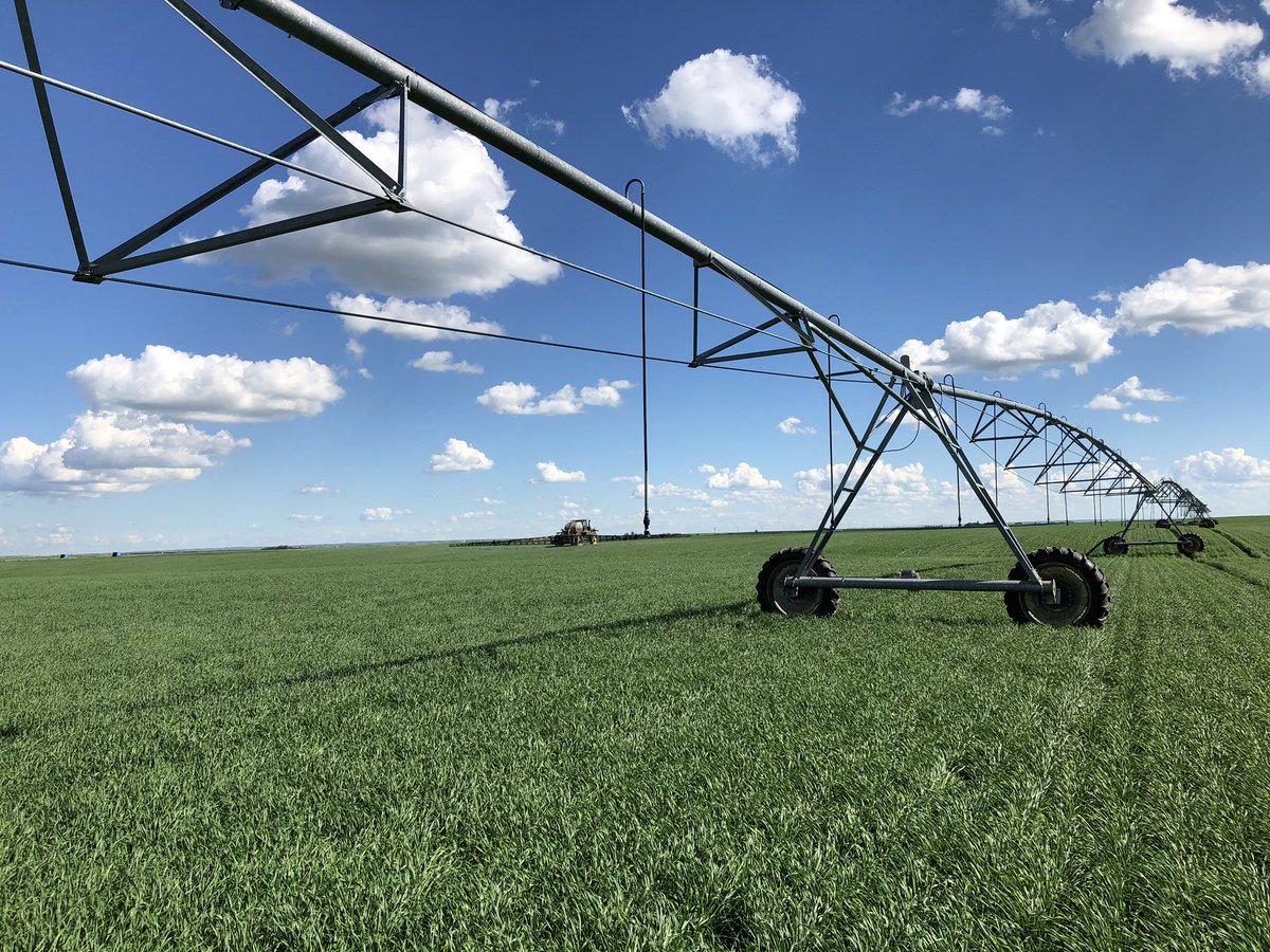 SeCanLauren's tweet photo. Ellie is really gonna F up some weeds with this combo on her @syngentacanada #Moddus #PGR #barley pivot trial. Obv #BinBusterBlonde required at a #Syngenta trial. Stay tuned for results #trail2020 #FarmDogsOfTwitter @GMacsAgTeam #Interlock #Avenza https://t.co/Q1CqrThtFS