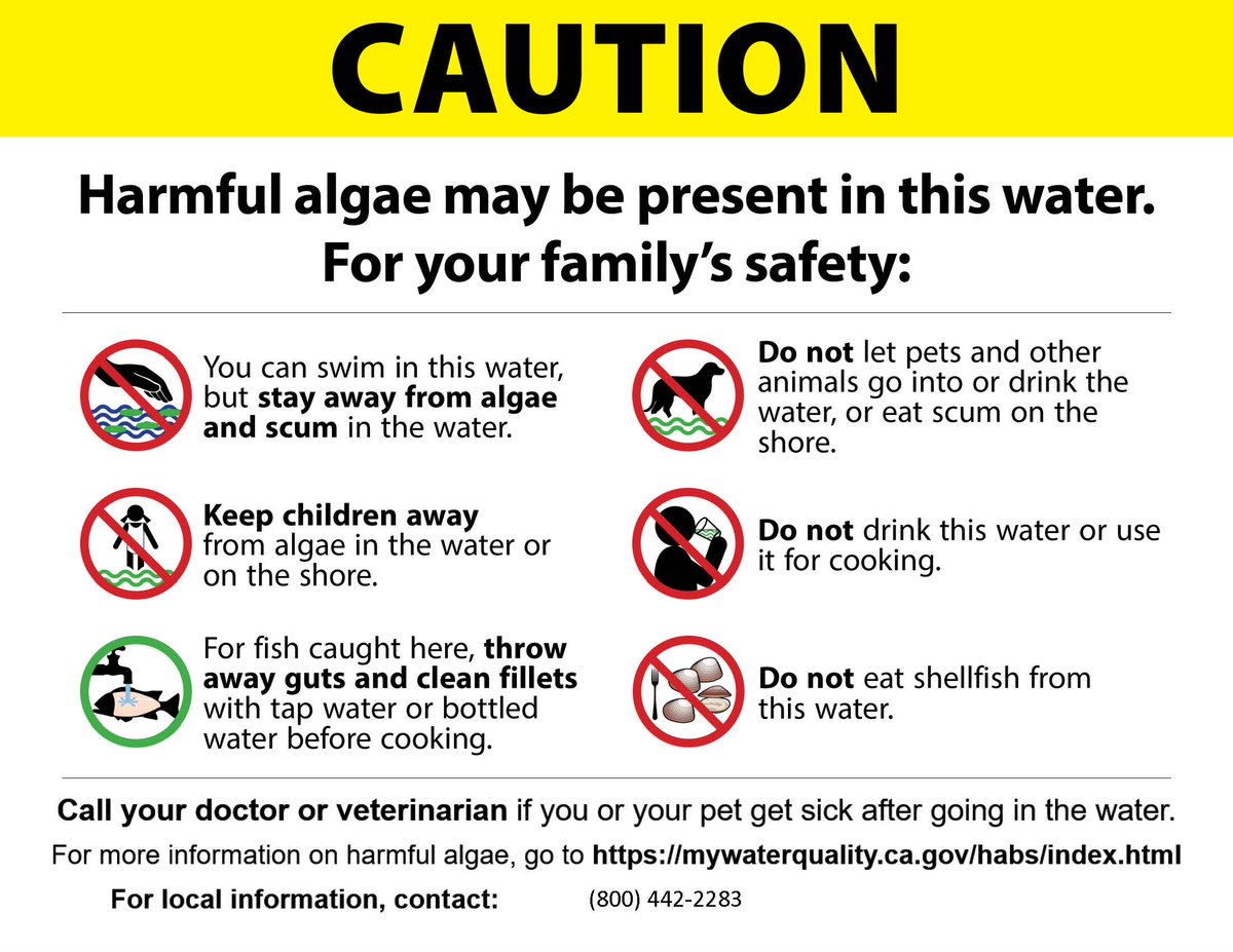 ATTENTION: Recent testing of Cucamonga-Guasti Regional Park’s lake water has shown low levels of Cyanobacteria. Fishing is safe and will remain open, however please take caution by following the rules below.