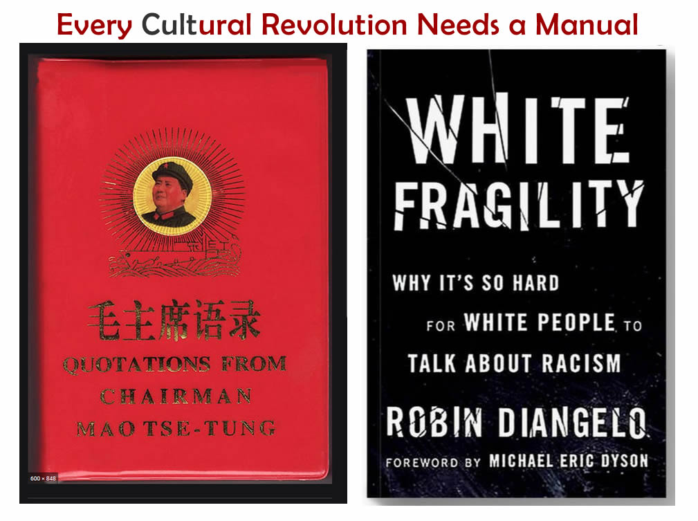 19/ Peggy Mcintosh's  #WhitePrivilege Knapsack garbage article had already been around for a number of years. In 2011, Robin DiAngelo published another rubbish academic paper titled  #WhiteFragility.The University academics and students began to get indoctrinated with this.