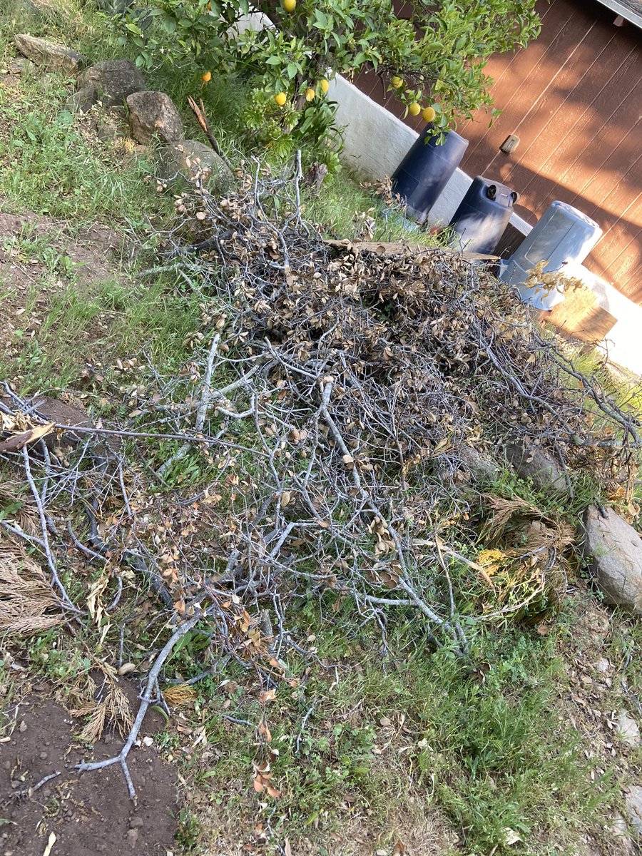 kellymdean's tweet photo. The disgusting state of the rental was NOT habitable and shame on AirBnb for denying their customers satisfaction. 
I never had a problem before with Airbnb, but I will now only be a VRBO customer. Be careful, some listings aren’t what they seem. #airbnbsupport #AirbnbrefundNOW https://t.co/VNwpiboKNH