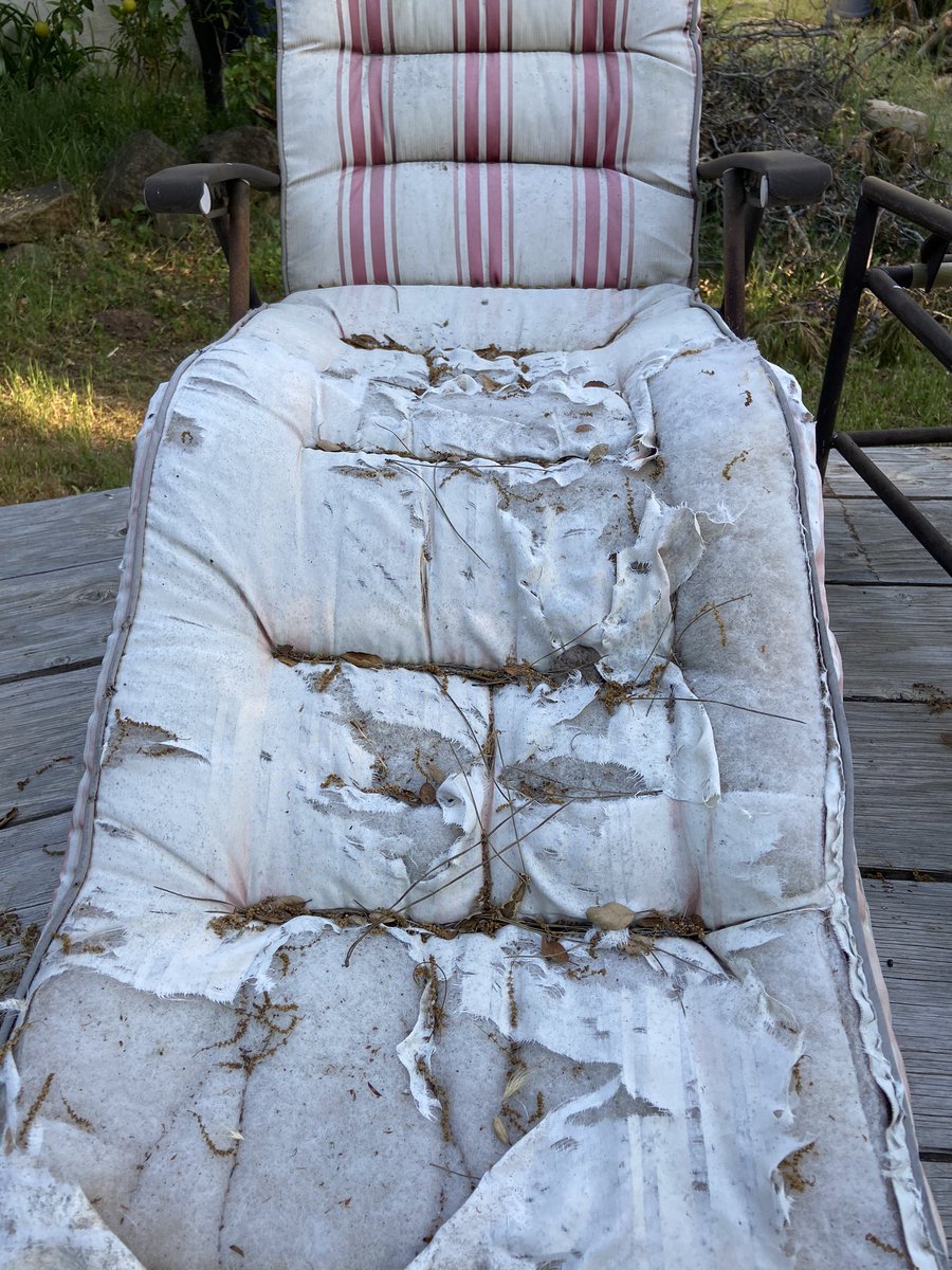 kellymdean's tweet photo. We told the owner that the cabin wasn’t up to our expectations and we didn’t feel comfortable staying there and she got defensive. 
We contacted AirBnb support and they told us they agree with the host and we wouldn’t get a refund or credit. #airbnb #airbnbsupport https://t.co/PyVsrR2JmZ