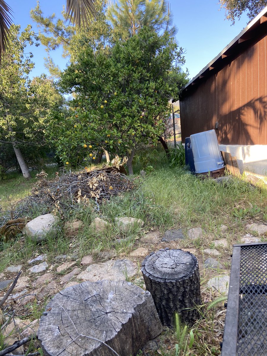 kellymdean's tweet photo. We told the owner that the cabin wasn’t up to our expectations and we didn’t feel comfortable staying there and she got defensive. 
We contacted AirBnb support and they told us they agree with the host and we wouldn’t get a refund or credit. #airbnb #airbnbsupport https://t.co/PyVsrR2JmZ