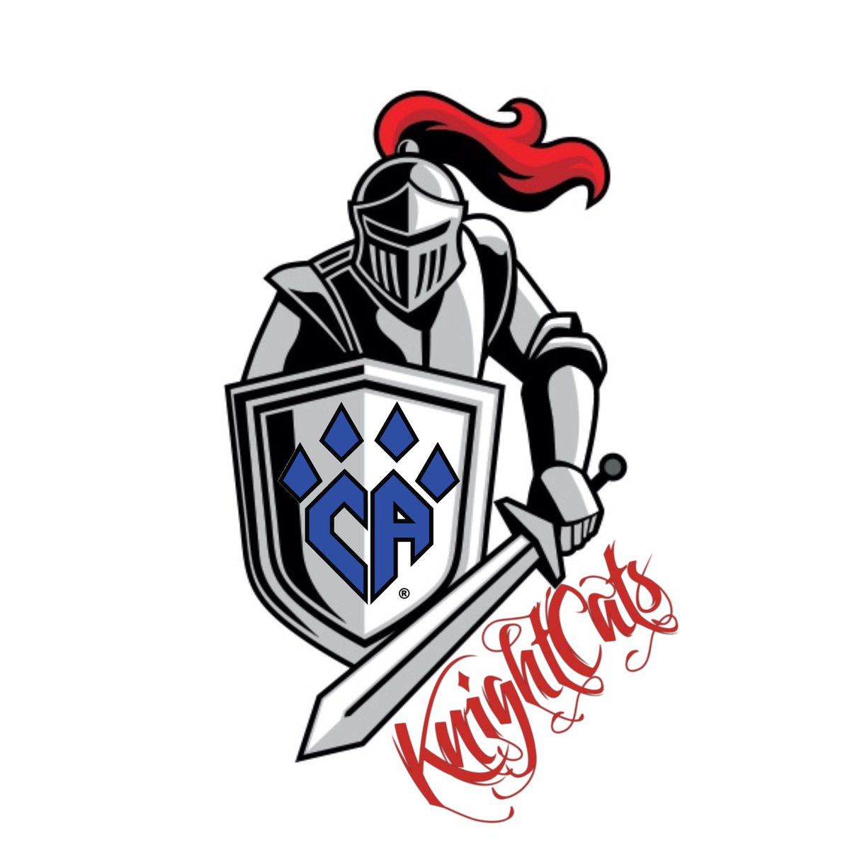 CA_CharlotteNC's tweet photo. Well hey there @CA_KnightCats! Welcome back! 😻💙#Lucky7th #Follow https://t.co/y1KFbe15e6
