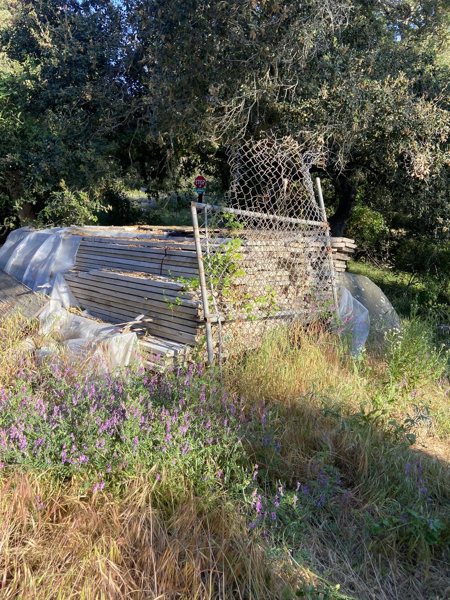 kellymdean's tweet photo. trash thrown on the lawn, a and overgrown plants all over the lawn. Not to mention it was the end of May - their seasonal pool wasn’t set up which wasn’t disclosed and there was no hammock as displayed in the photos. #airbnb #airbnbsupport https://t.co/NkX63iGkUl