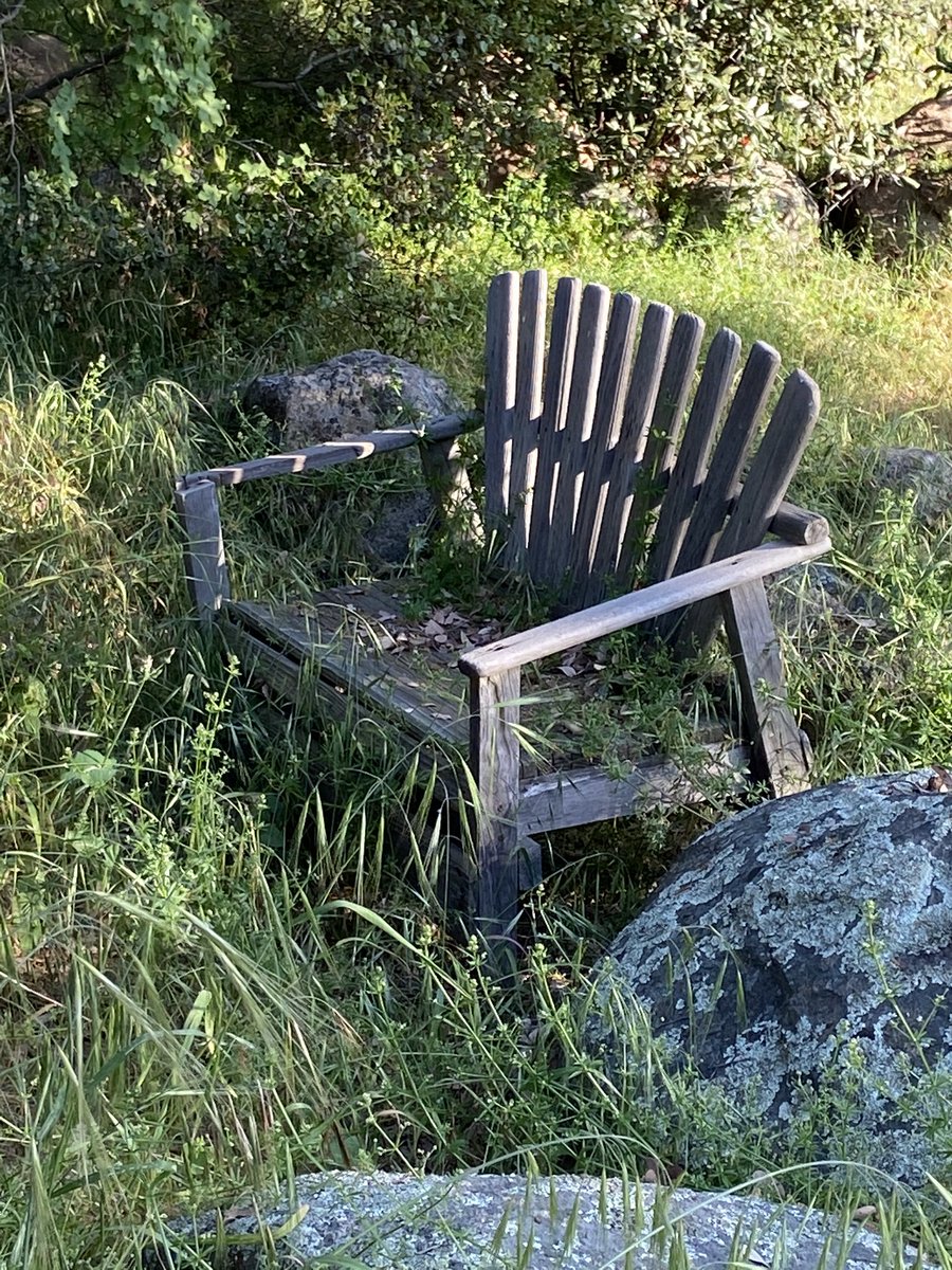 kellymdean's tweet photo. trash thrown on the lawn, a and overgrown plants all over the lawn. Not to mention it was the end of May - their seasonal pool wasn’t set up which wasn’t disclosed and there was no hammock as displayed in the photos. #airbnb #airbnbsupport https://t.co/NkX63iGkUl
