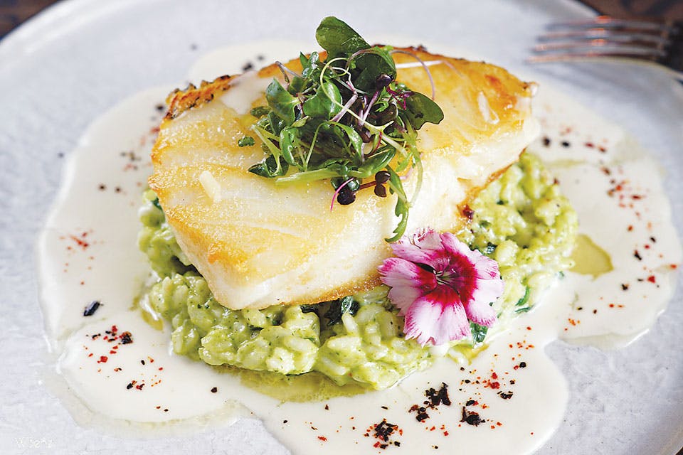 OhioMagazine's tweet photo. Whether you're in the mood for Southern, down-home cooking or chef-driven fine dining, you'll find it at Cozy's Cafe and Pub. We love the patio at this Butler County spot, too! #bcinspired https://t.co/iggs1mFwQ1 https://t.co/tbnPreaS8A