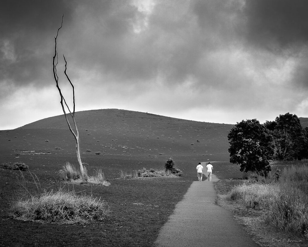 angelacbrown's tweet photo. Challenged by @wouldntitbecool Day 4/10 b/w photos. No portrait. No captions. .
.
.
.
.
.
.
#DevastationTrail #nationalpark #hawaii #hawaiivolcanoesnps #hawaiivolcanoes @nationalparkservice #archive #fujifilm_xseries #fujifilm #fujifilmxt1 
#DevelopPortD… https://t.co/8i9RchkQmA https://t.co/9ILY2dkUA6