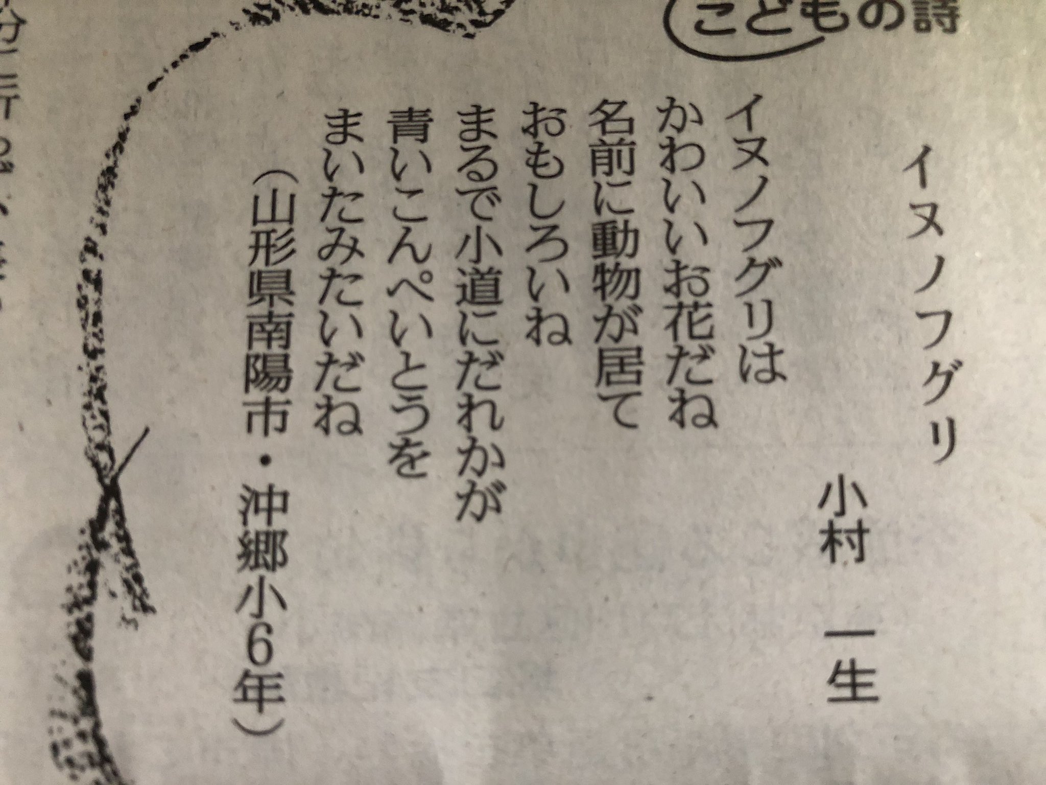 Green Pepper 在 Twitter 上 今朝の新聞に載ってた小学生の詩 イヌノフグリの花が咲いた様子を 小道にだれかが青いこんぺいとうをまいたみたいだと表現してるのがすごく新鮮だった 素敵な感性 T Co Jki8j8af4p Twitter